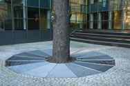 Tree mulch ring protective cover made of galvanised steel grid