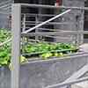 balustrade from galvanized, powder painted steel at the building entrance